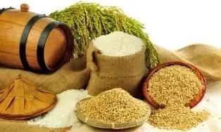 加快農產品品質標準制定 助力營養(yǎng)健康生活