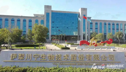 川寧生物創(chuàng)業(yè)板成功上市，引領(lǐng)生物技術(shù)研發(fā)新篇章