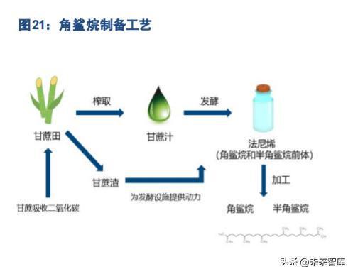 從研發(fā)與核心成分出發(fā) 生物技術(shù)驅(qū)動(dòng)國貨美妝的星辰大海